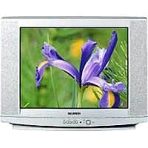 Замена лампы подсветки Samsung CS-29U2 WTR