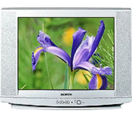 Замена лампы подсветки Samsung CS-29U2 R