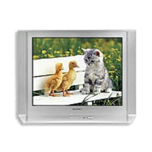 Замена лампы подсветки Samsung CS-29 V10 MGR