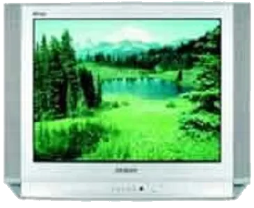 Замена лампы подсветки Samsung CS-29D8 WTR