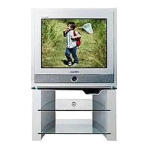 Замена лампы подсветки Samsung CS-29Z6HPQ