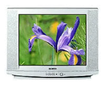 Замена лампы подсветки Samsung CS-29U2 WTQR